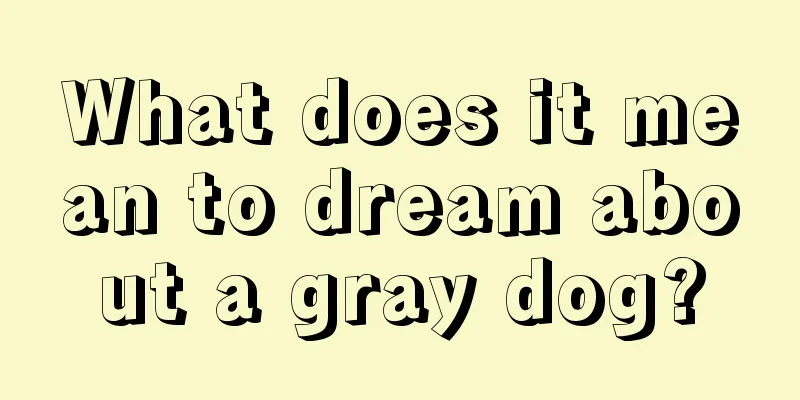 What does it mean to dream about a gray dog?