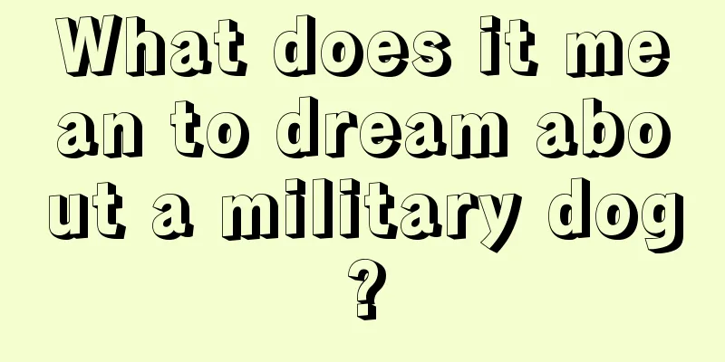 What does it mean to dream about a military dog?