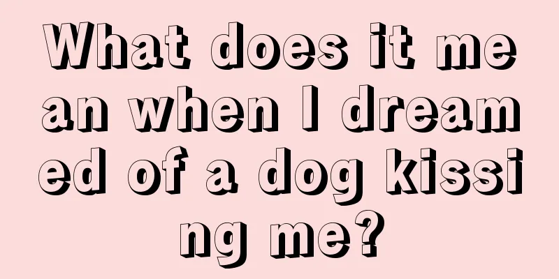 What does it mean when I dreamed of a dog kissing me?