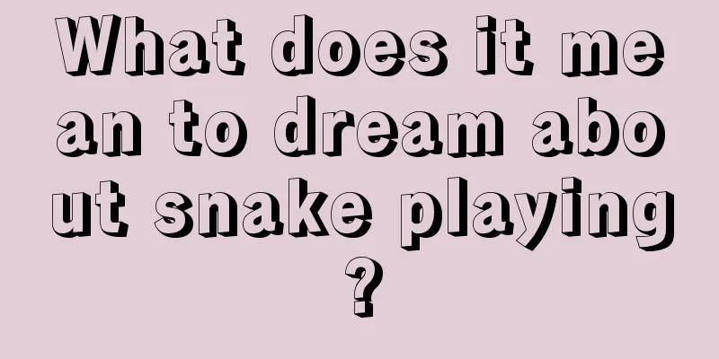 What does it mean to dream about snake playing?