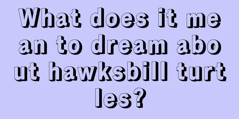 What does it mean to dream about hawksbill turtles?