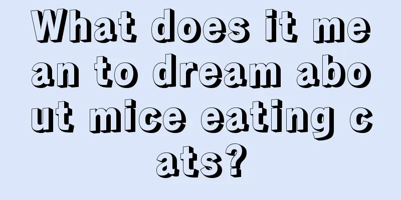 What does it mean to dream about mice eating cats?