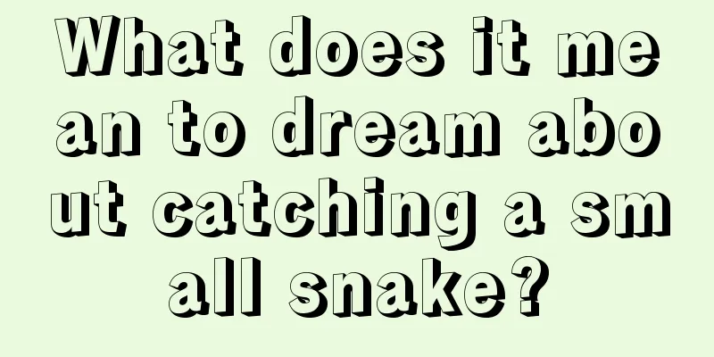 What does it mean to dream about catching a small snake?