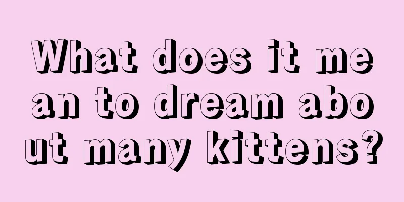 What does it mean to dream about many kittens?