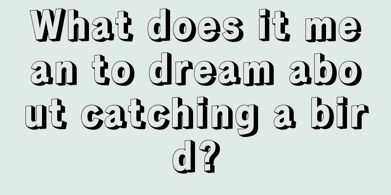 What does it mean to dream about catching a bird?