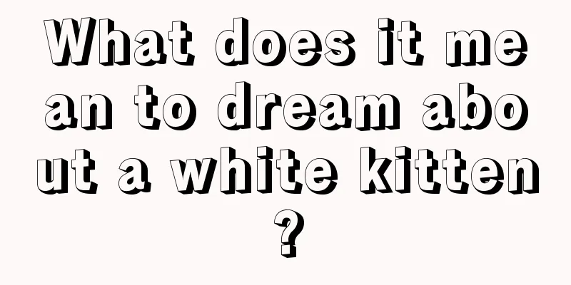 What does it mean to dream about a white kitten?