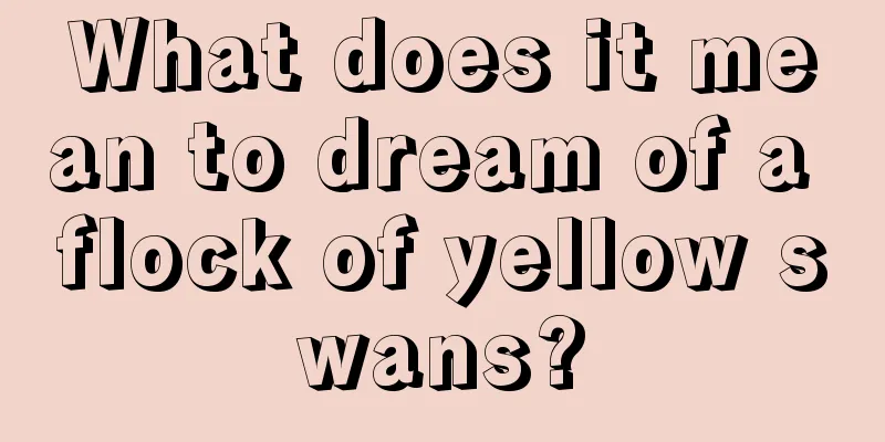 What does it mean to dream of a flock of yellow swans?