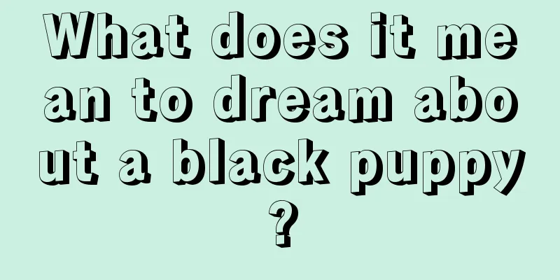 What does it mean to dream about a black puppy?