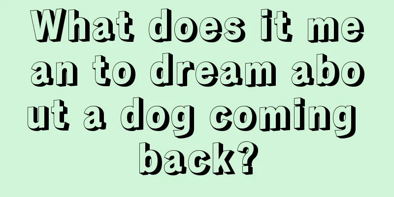 What does it mean to dream about a dog coming back?