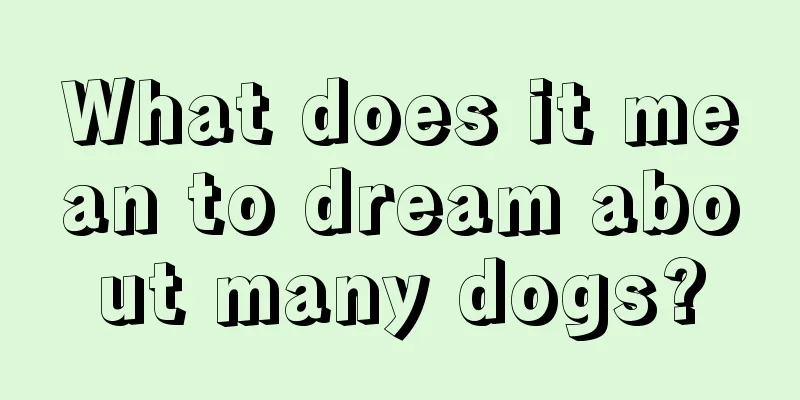 What does it mean to dream about many dogs?