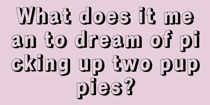 What does it mean to dream of picking up two puppies?