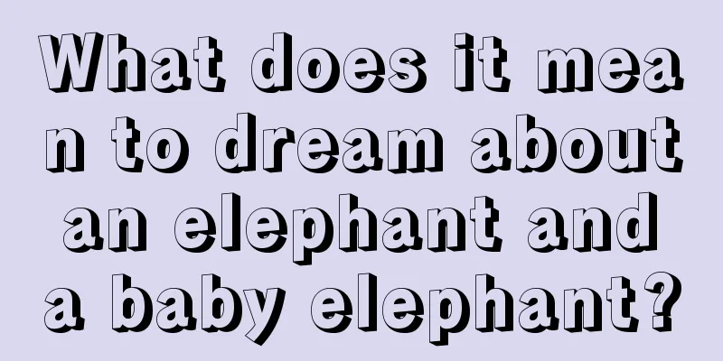 What does it mean to dream about an elephant and a baby elephant?