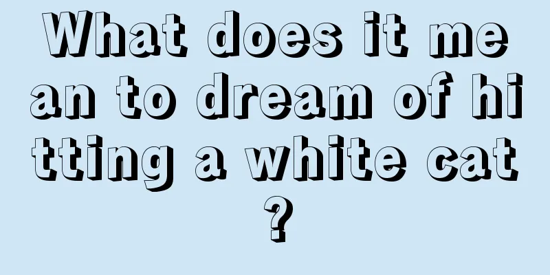 What does it mean to dream of hitting a white cat?