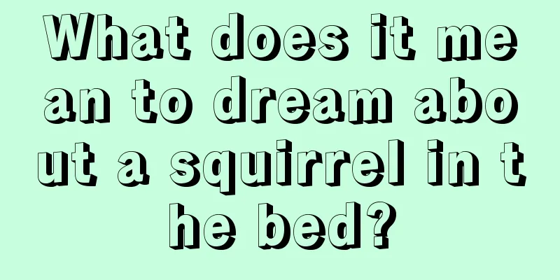 What does it mean to dream about a squirrel in the bed?