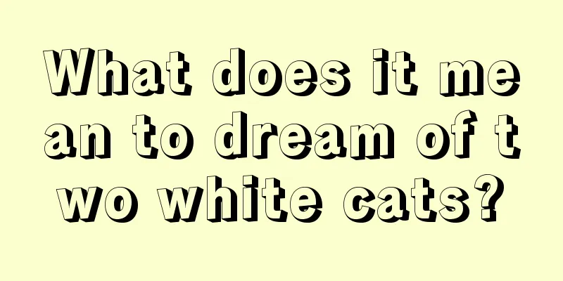 What does it mean to dream of two white cats?