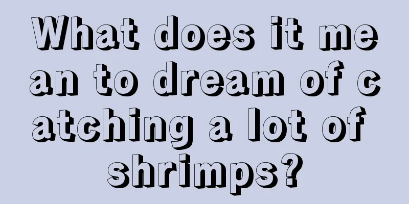 What does it mean to dream of catching a lot of shrimps?