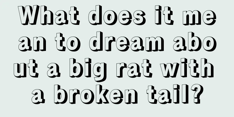 What does it mean to dream about a big rat with a broken tail?