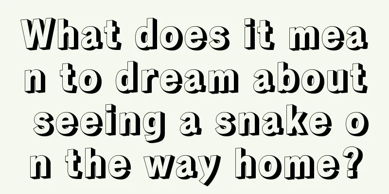 What does it mean to dream about seeing a snake on the way home?