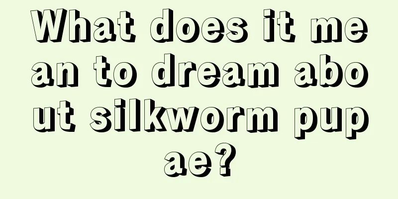 What does it mean to dream about silkworm pupae?