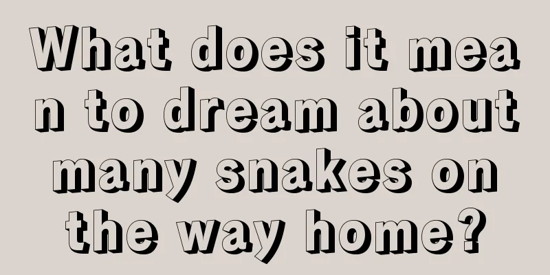 What does it mean to dream about many snakes on the way home?