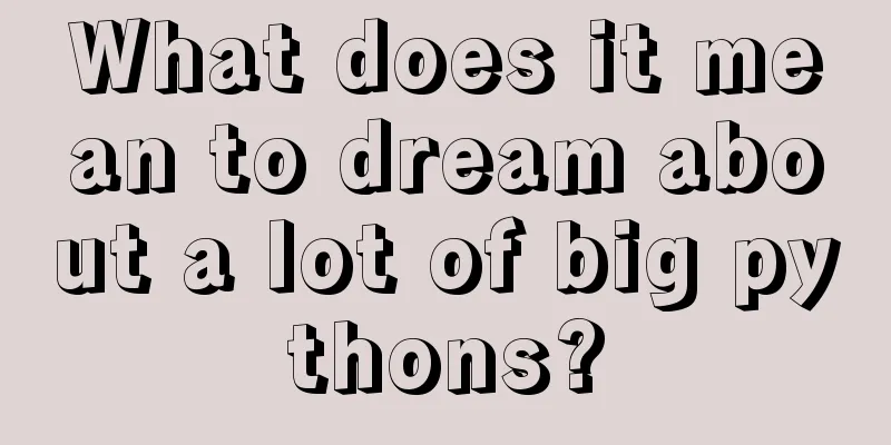 What does it mean to dream about a lot of big pythons?