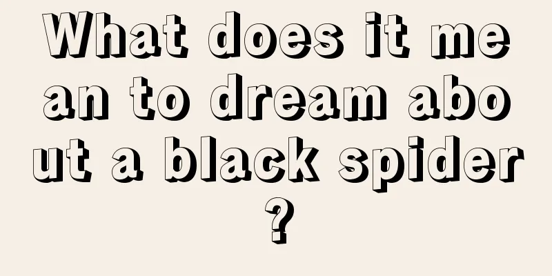 What does it mean to dream about a black spider?