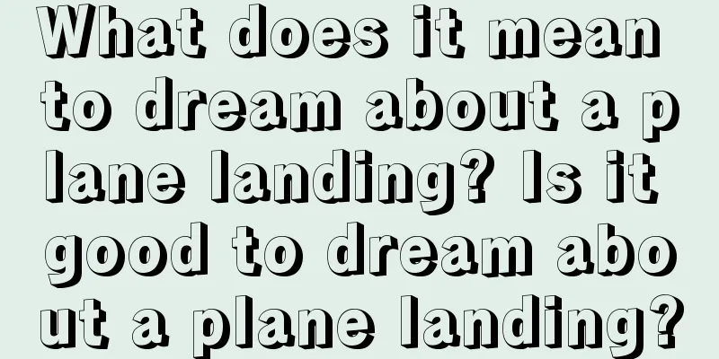 What does it mean to dream about a plane landing? Is it good to dream about a plane landing?