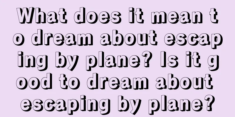 What does it mean to dream about escaping by plane? Is it good to dream about escaping by plane?