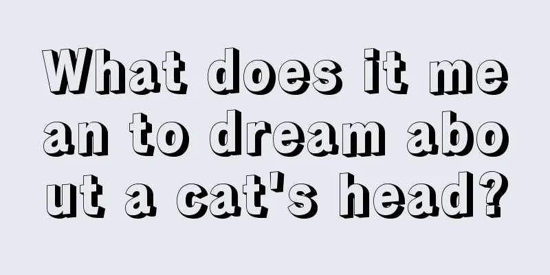 What does it mean to dream about a cat's head?