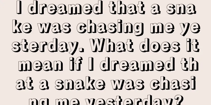 I dreamed that a snake was chasing me yesterday. What does it mean if I dreamed that a snake was chasing me yesterday?