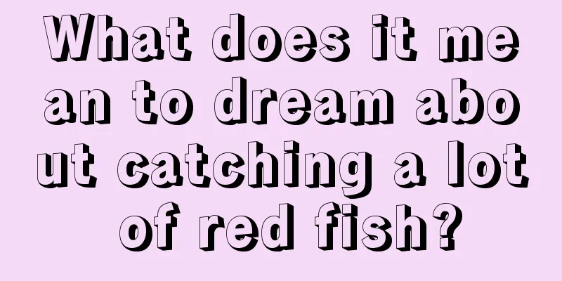 What does it mean to dream about catching a lot of red fish?