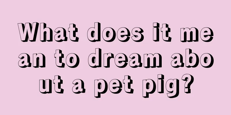 What does it mean to dream about a pet pig?