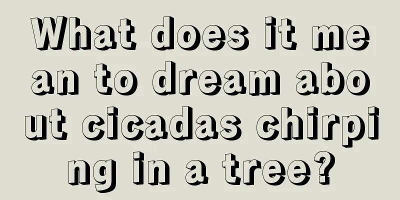 What does it mean to dream about cicadas chirping in a tree?