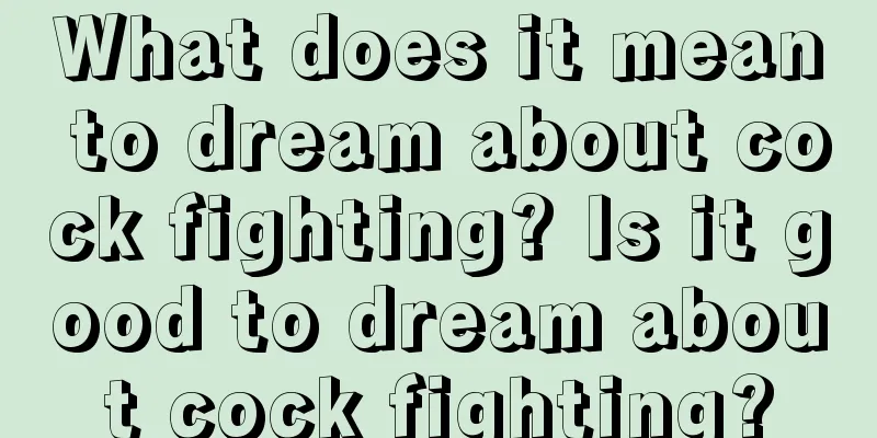 What does it mean to dream about cock fighting? Is it good to dream about cock fighting?