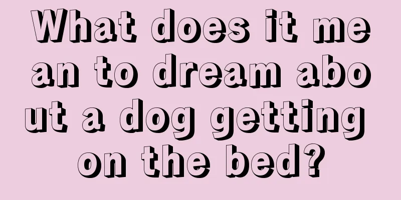 What does it mean to dream about a dog getting on the bed?