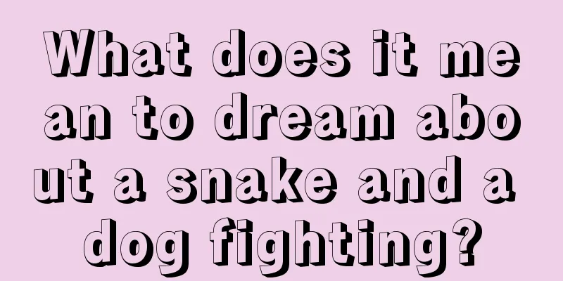 What does it mean to dream about a snake and a dog fighting?