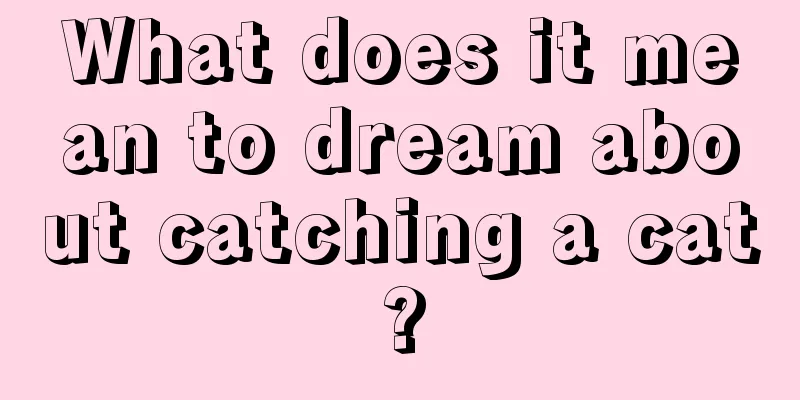 What does it mean to dream about catching a cat?