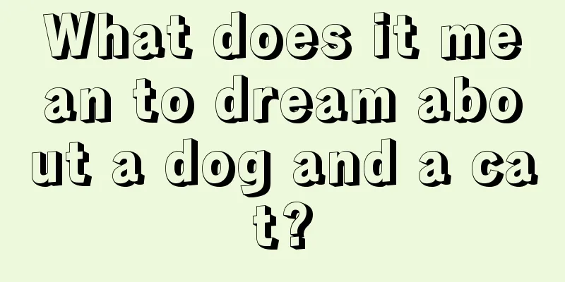 What does it mean to dream about a dog and a cat?