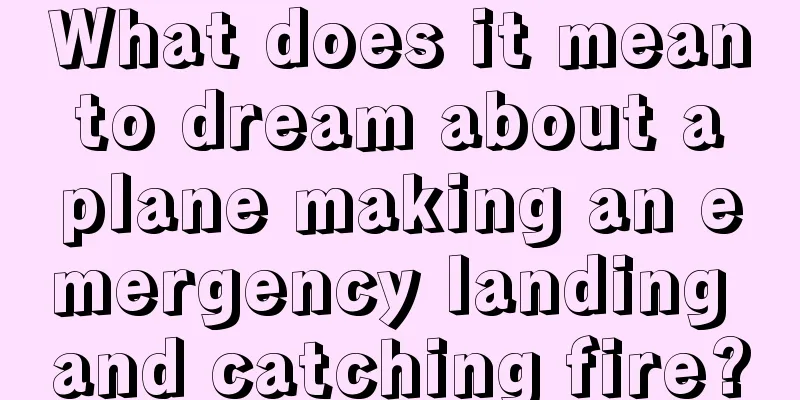 What does it mean to dream about a plane making an emergency landing and catching fire?