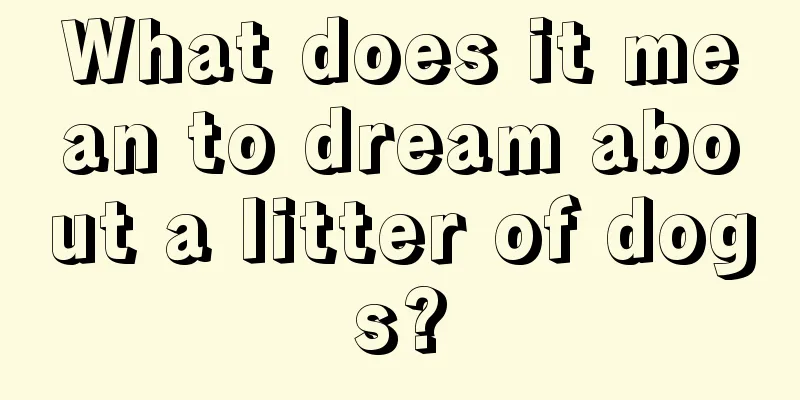 What does it mean to dream about a litter of dogs?