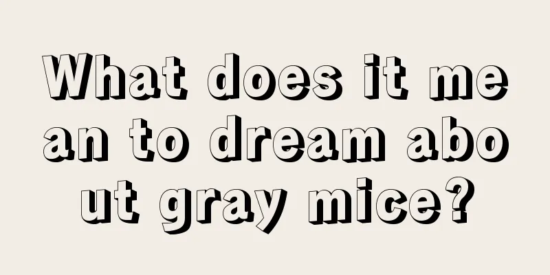 What does it mean to dream about gray mice?