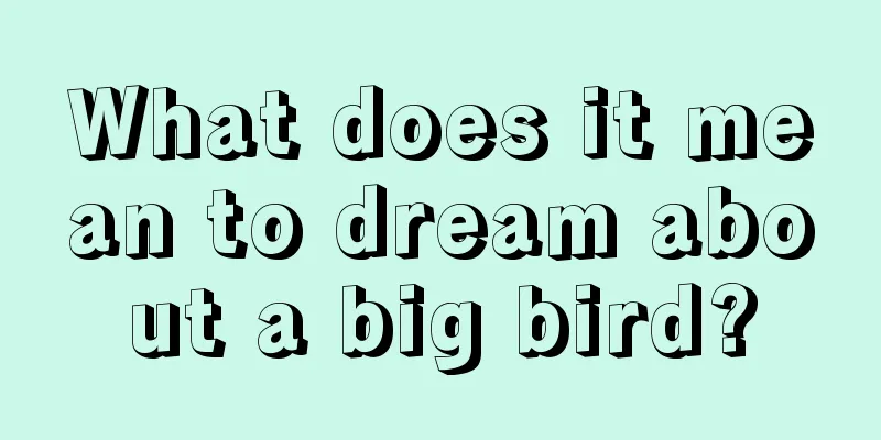 What does it mean to dream about a big bird?