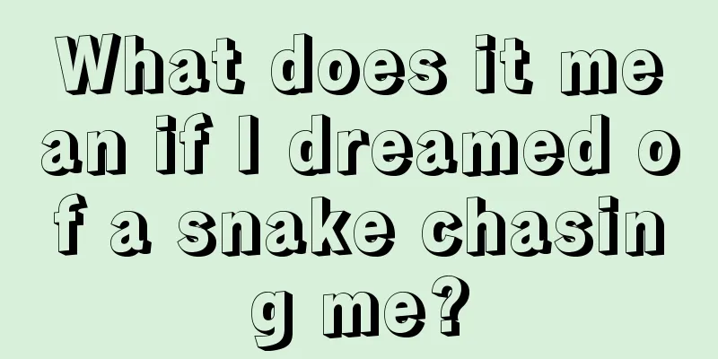 What does it mean if I dreamed of a snake chasing me?