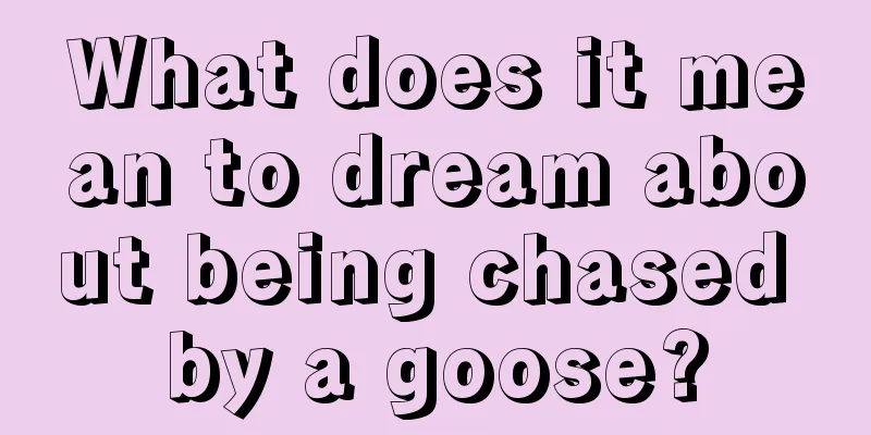 What does it mean to dream about being chased by a goose?