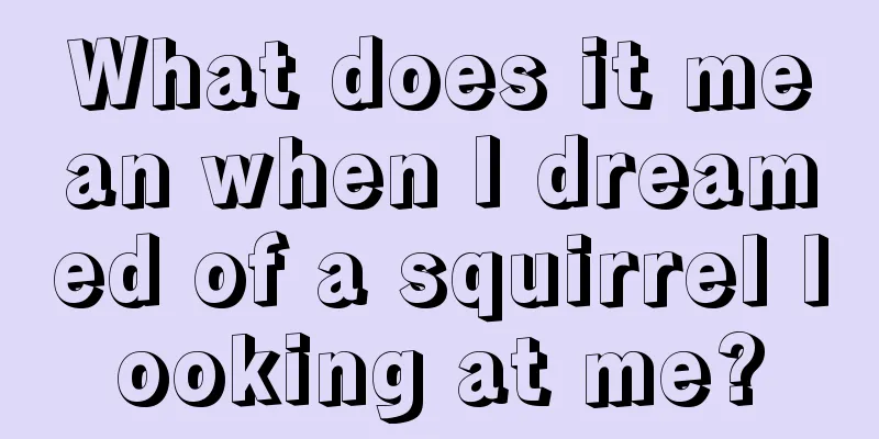 What does it mean when I dreamed of a squirrel looking at me?