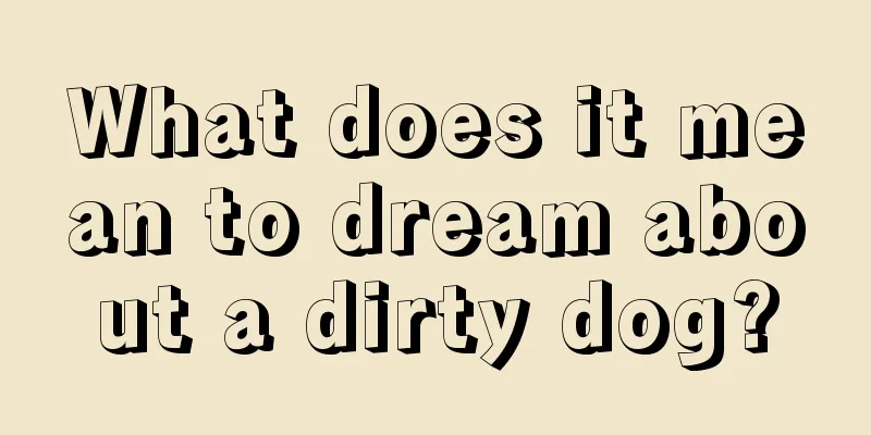 What does it mean to dream about a dirty dog?