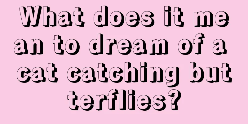 What does it mean to dream of a cat catching butterflies?