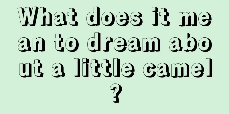 What does it mean to dream about a little camel?