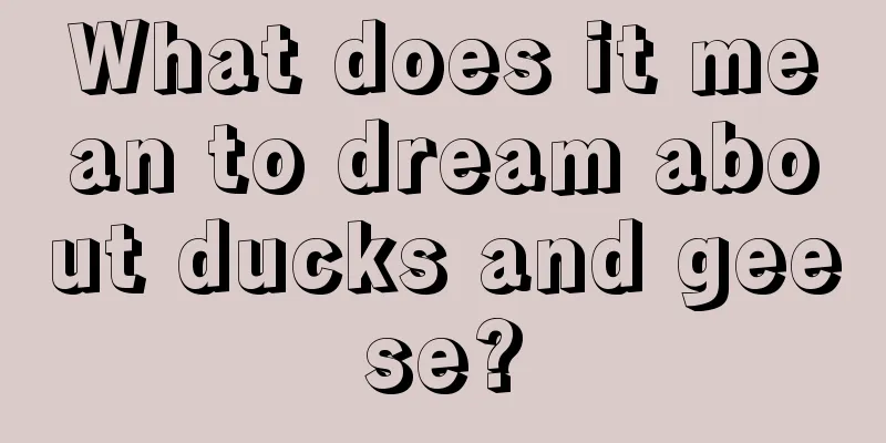 What does it mean to dream about ducks and geese?