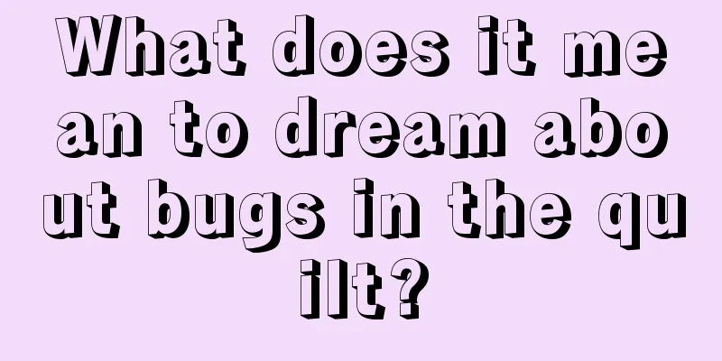 What does it mean to dream about bugs in the quilt?